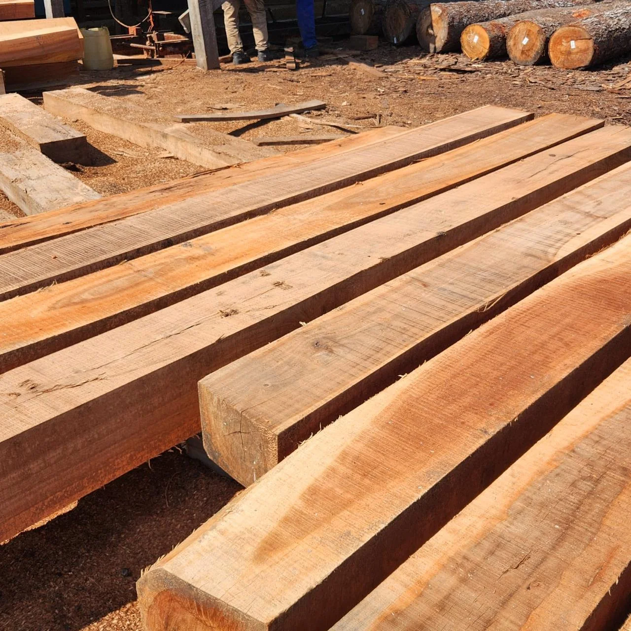 Virgin hardwood sleeper grain close-up