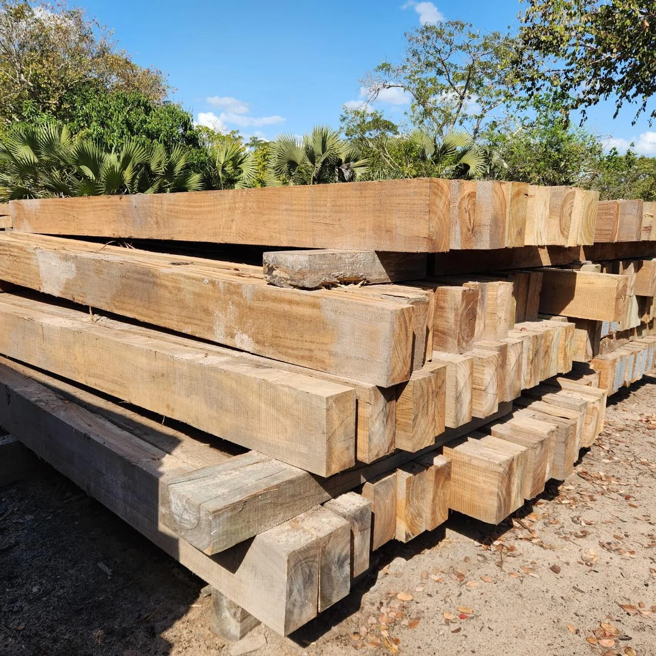 Virgin hardwood sleepers stacked in a yard