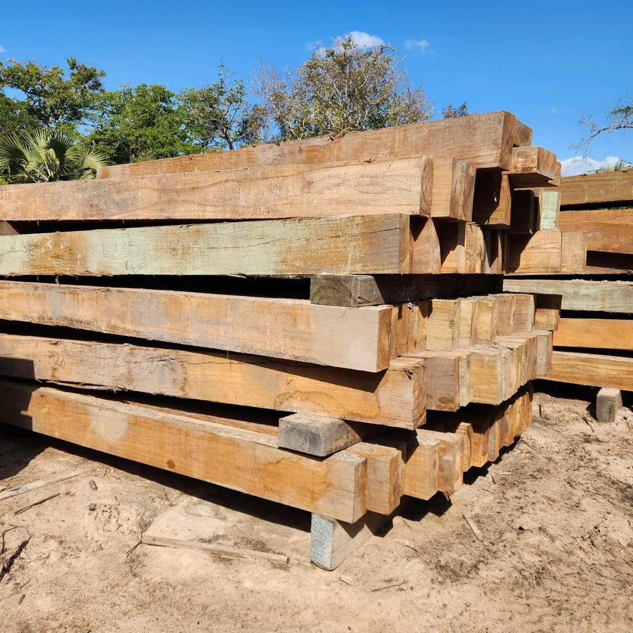 Virgin hardwood sleepers stacked in an open yard